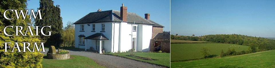 Cwm Craig Farm banner